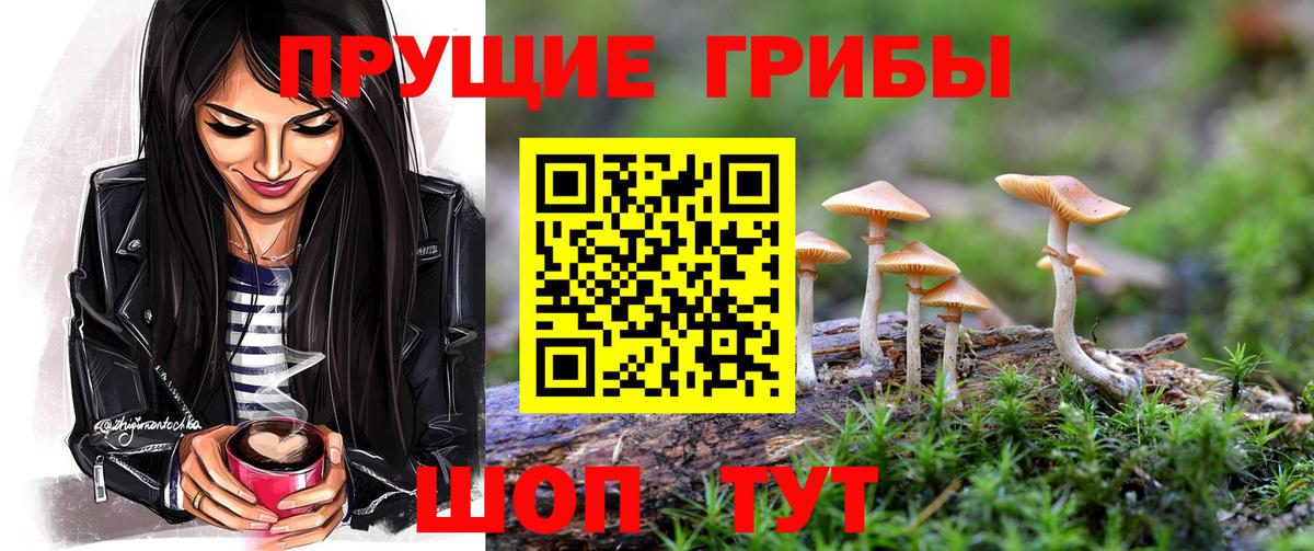 купить наркотики сайты  Псилоцибиновые грибы MAGIC MUSHROOMS  Вход с VPN  Новошахтинск  Псилоцибиновые грибы Cubensis 