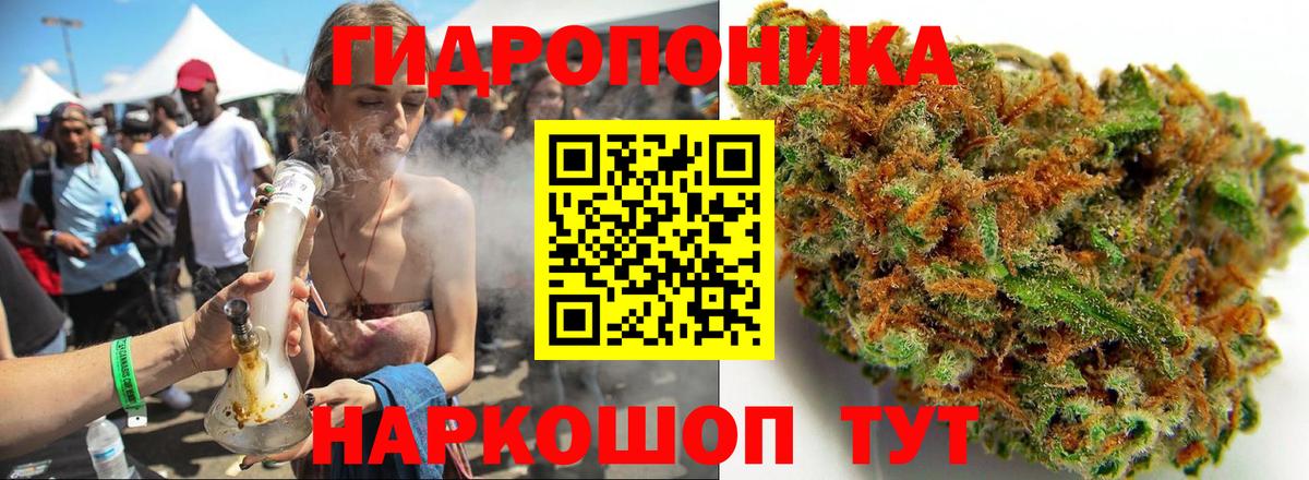 Шишки марихуана OG Kush Новошахтинск